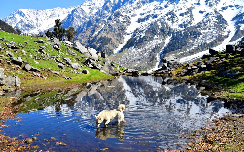 Things to do in Triund