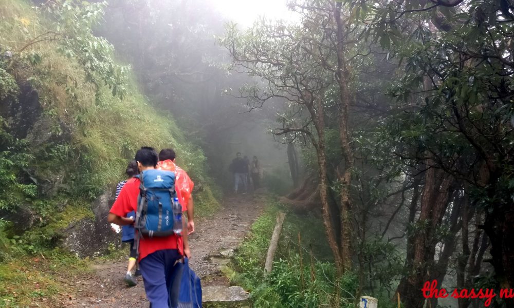 things to do in triund