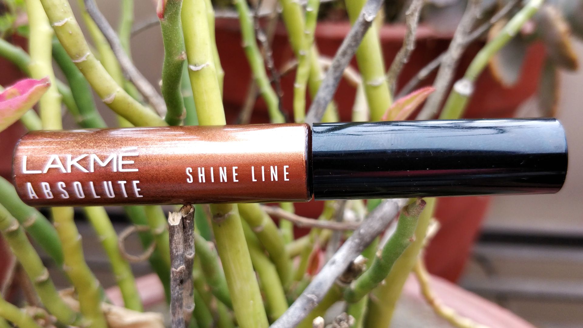 Lakme Absolute Shine Line